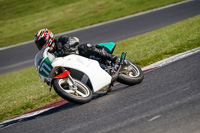 brands-hatch-photographs;brands-no-limits-trackday;cadwell-trackday-photographs;enduro-digital-images;event-digital-images;eventdigitalimages;no-limits-trackdays;peter-wileman-photography;racing-digital-images;trackday-digital-images;trackday-photos
